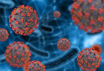 Photo AI pomôže zastaví vírus skôr, než vstúpi do bunky: nový „dizajnér“ peptidov mieri na herpesy