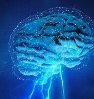 Photo Kvantový pôvod vedomia získava podporu vďaka novým objavom v mozgu