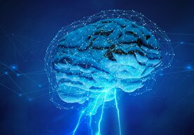 Photo Kvantový pôvod vedomia získava podporu vďaka novým objavom v mozgu