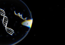 Photo Skórovanie genetickej kvality embryí otvára dvere k dizajnovaniu detí