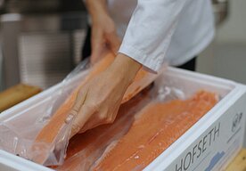 Photo Revolučná metóda rozmrazovania prinesie čerstvé ryby a morské plody do celého sveta