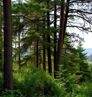 Photo Dopamínová pasca – čo s ňou?