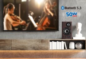 Photo Genius SP-HF1812BT / Drevené bluetooth reproduktory