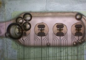 Photo Počítače z ľudských neurónov môžu vyriešiť extrémnu spotrebu energie AI
