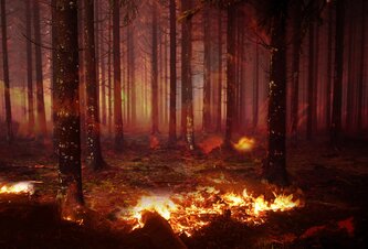 Photo Startup sľubuje kontrolu nad bleskami a záchranu lesov pred požiarmi