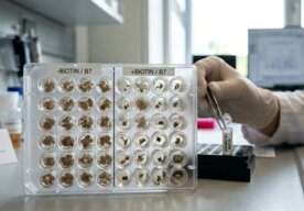 Photo Nedostatok bežného vitamínu dokáže zastaviť rast rakovinových buniek 