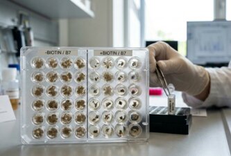 Photo Nedostatok bežného vitamínu dokáže zastaviť rast rakovinových buniek 