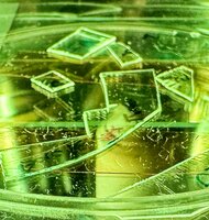 Photo Revolučná fólia s nanotextúrou mechanicky trhá vírusy na kusy