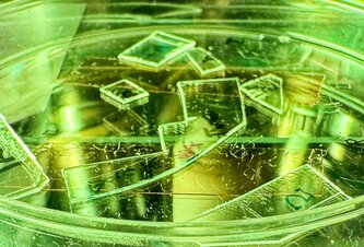 Photo Revolučná fólia s nanotextúrou mechanicky trhá vírusy na kusy