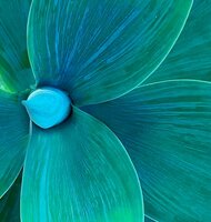 Photo Dizajnové trendy leta a jesene 2026? 