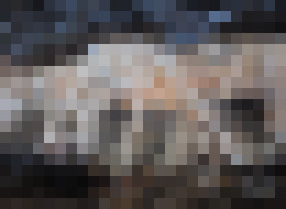 Photo Mestské dopravné systémy inšpirované mycéliom
