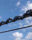Photo Robotické hady kontrolujú elektrické vedenie priamo na stožiaroch