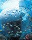 Photo Vodopád plávajúci oceánom bude vyrábať lacnú elektrinu