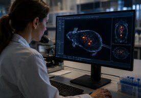 Photo Nová metóda umožní sledovať pohyb mikroplastov priamo v živom tele
