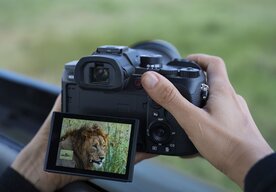 Photo Nový fotoaparát Sony RX10 V – všestranný fotoaparát so superzoomom na každodenné fotografovanie, fotografovanie divokej prírody