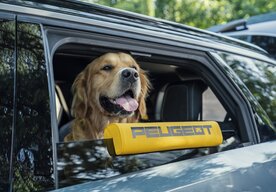 Photo PEUGEOT predstavuje cestovanie  očami psa v koncepte E-5008 DOG EDITION