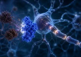 Photo Zvýšenie hladiny jediného proteínu môže zvrátiť poškodenia z Alzheimerovej choroby