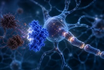 Photo Zvýšenie hladiny jediného proteínu môže zvrátiť poškodenia z Alzheimerovej choroby