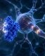 Photo Zvýšenie hladiny jediného proteínu môže zvrátiť poškodenia z Alzheimerovej choroby
