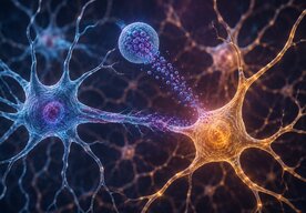 Photo Inovatívny nanogél dokáže premeniť podporné bunky na nové funkčné neuróny