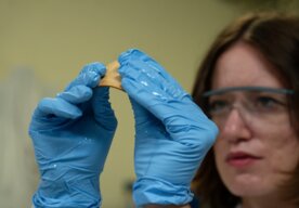 Photo Vedci vyvinuli novú technológiu umožňujúcu ohýbať drevo ako plast či plech