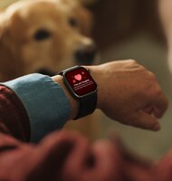 Photo Vyzerajú ako hodinky, tlak merajú ako tlakomer. Huawei Watch D3 prichádzajú na Slovensko